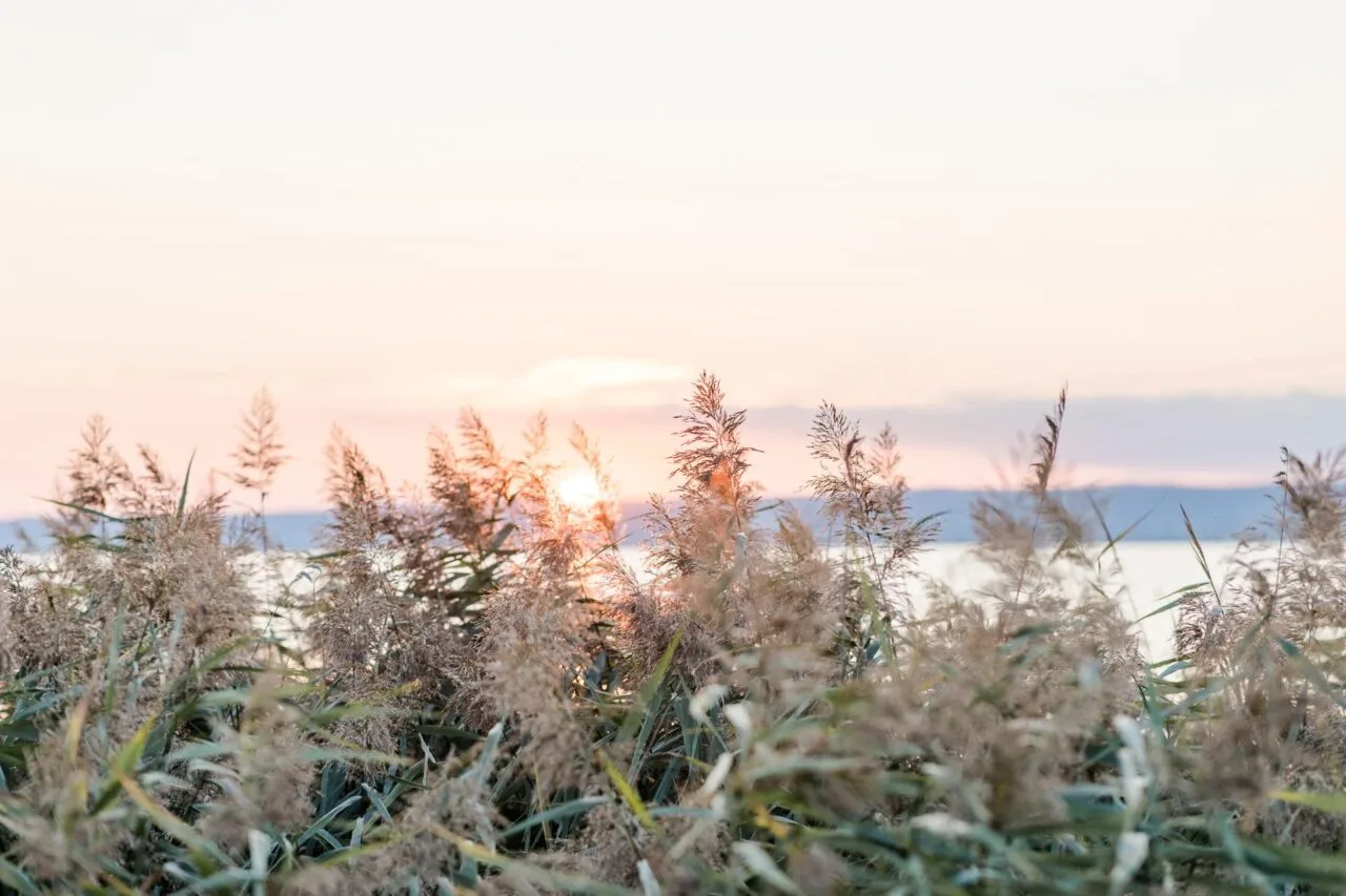 seeblick mit sonnenuntergang