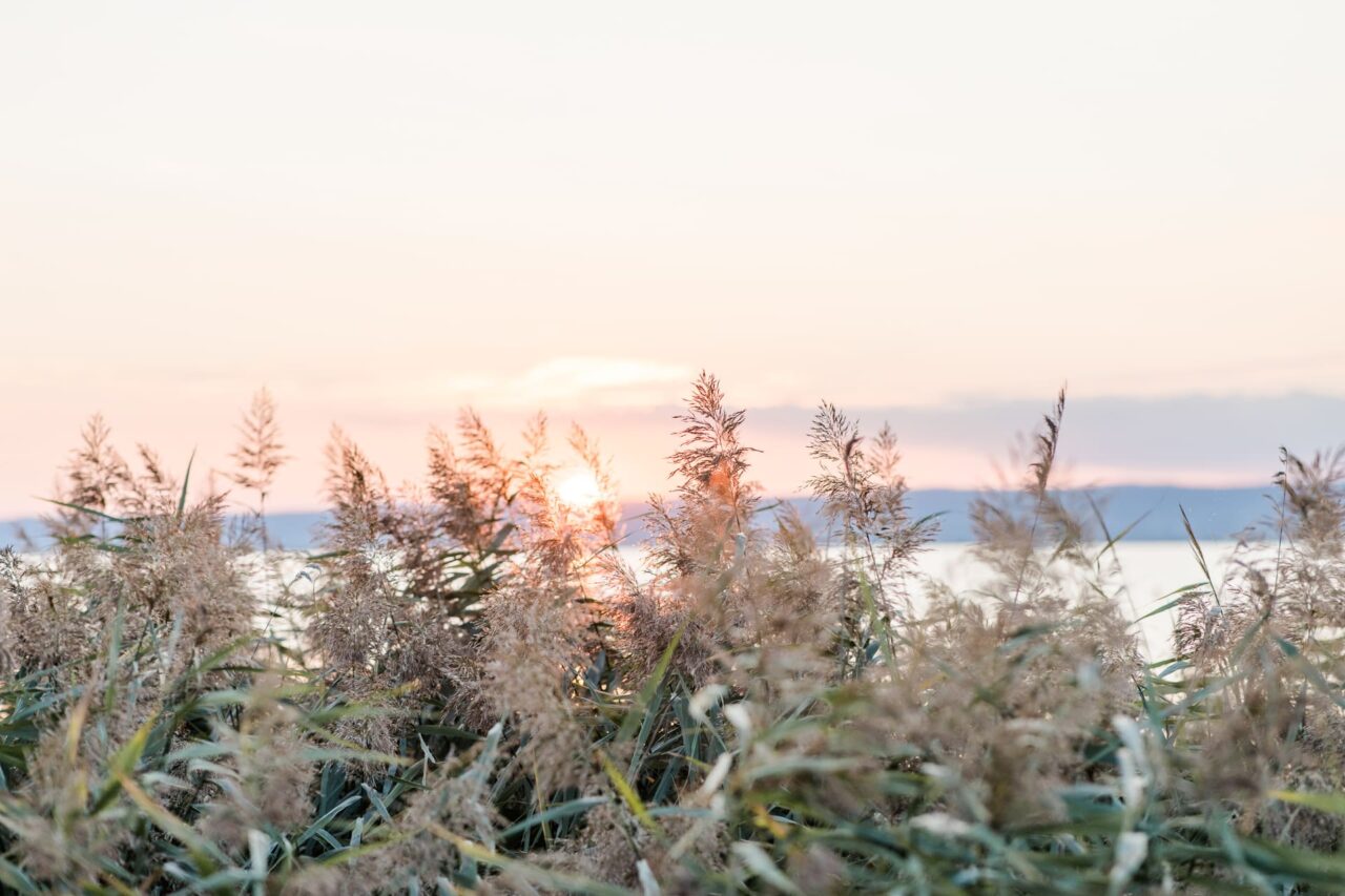 seeblick mit sonnenuntergang